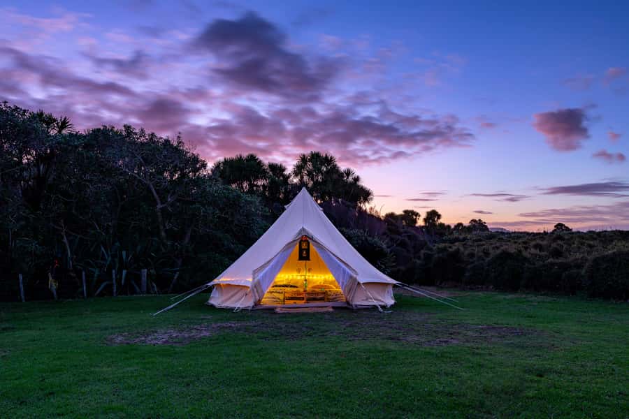 Auckland (Tawharanui): Wild Kiwi Bird Spotting Encounter - Is $89 good value?
