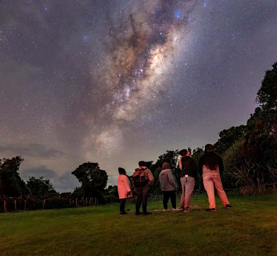 Auckland (Tawharanui): Wild Kiwi Bird Spotting Encounter - Walking the Tāwharanui bush after dark