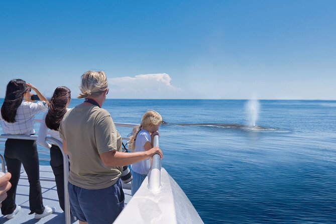 Auckland: Tikapa Moana Dolphin, Whale and Island Cruise - The wildlife search can be thrilling or frustrating