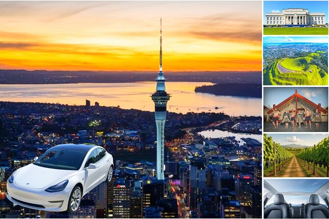 Auckland: Tikapa Moana Dolphin, Whale and Island Cruise - Man O’ War Vineyards gives the day a slower finish
