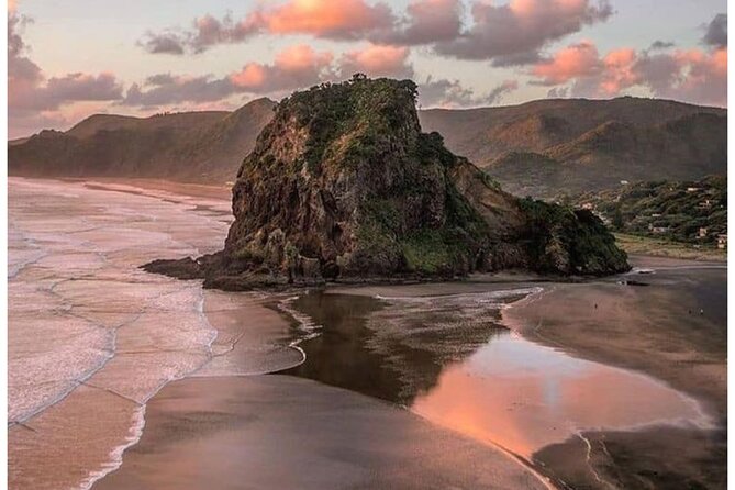 Auckland: Tikapa Moana Dolphin, Whale and Island Cruise - Who should book this cruise?
