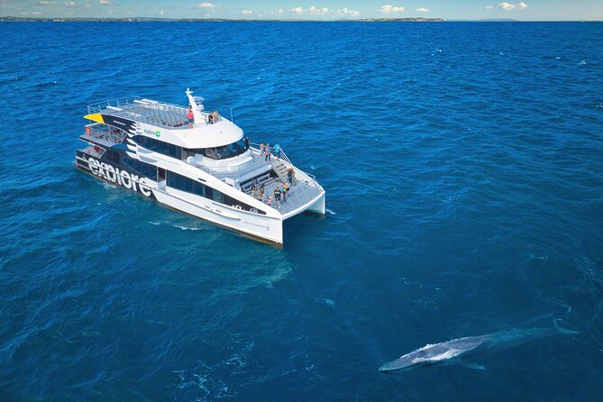 Auckland: Tikapa Moana Dolphin, Whale and Island Cruise - Rotoroa Island offers walks, beaches and native wildlife