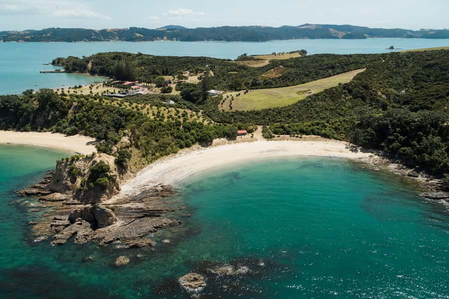 Auckland: Tikapa Moana Whales, Dolphins and Islands Cruise - Practical ways to make the day better