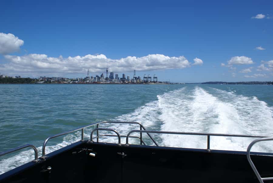 Auckland: Tikapa Moana Whales, Dolphins and Islands Cruise - FAQ