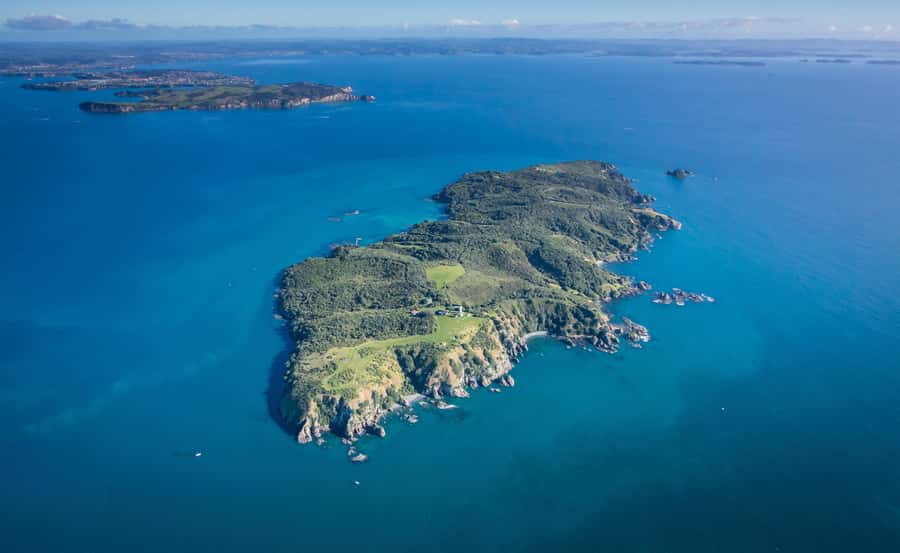 Auckland: Tiritiri Matangi Island Ferry - Key points to know before you go