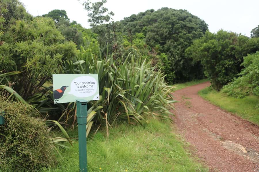 Auckland: Tiritiri Matangi Island Ferry - Practical packing and booking advice