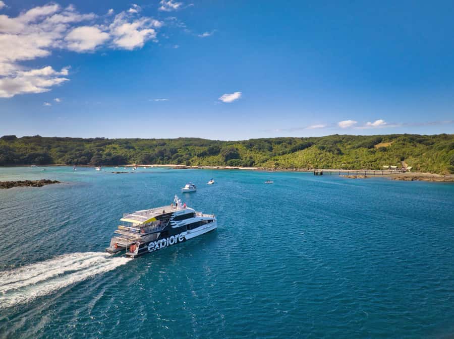 Auckland: Tiritiri Matangi Island Ferry - Choosing Auckland or Gulf Harbour