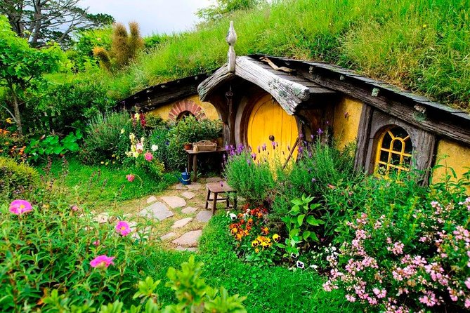 Auckland to Hobbiton Movie Set Private Tour - The guide can shape the road journey
