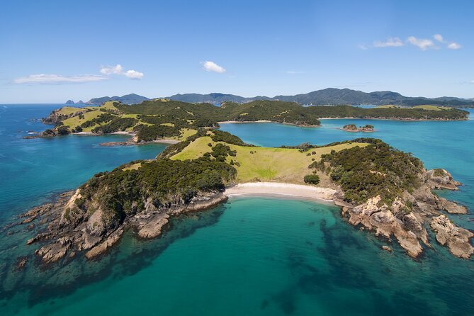 Auckland to Paihia via West Coast Small Group Tour (One Way) - Opononi gives you a west coast lunch break