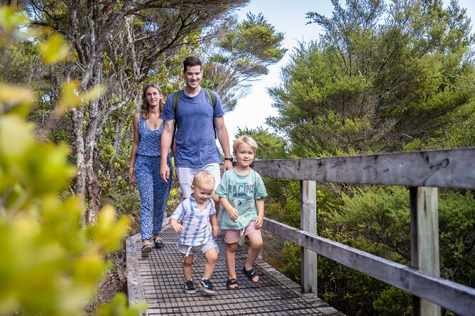 Auckland to Rangitoto Island Ferry - Who should book this Rangitoto outing?