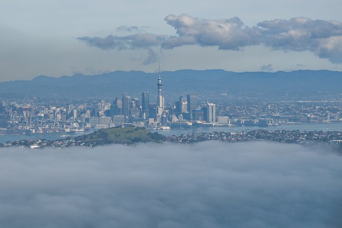 Auckland to Rangitoto Island Ferry - The summit walk and its 350 boardwalk steps
