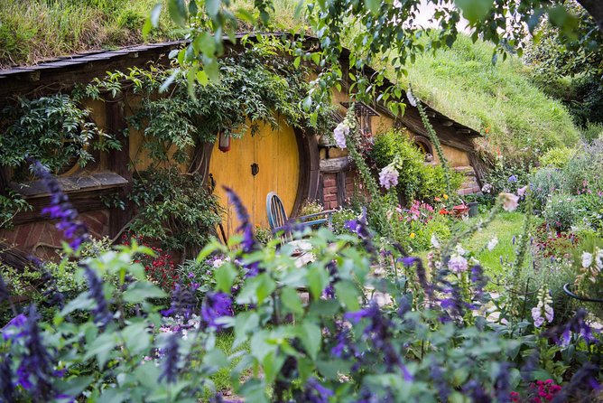 Auckland to Rotorua via Hobbiton Small Group Tour (One Way) - Lunch at Shire’s Rest is on your own