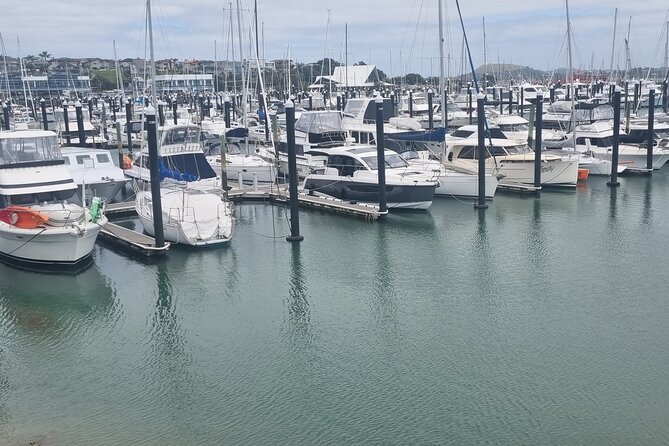 Auckland Town and Country Delights Tour - Clevedon: morning tea, shopping, and country roads