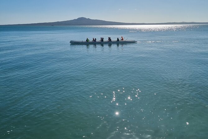 Auckland Town and Country Delights Tour - Pine Harbour ferry: an easy and scenic finish