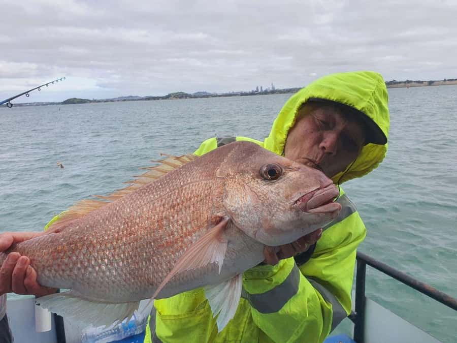 Auckland: Twilight Fishing Charter 5pm - 9:30pm - Bring dinner, drinks, and a chilly bin