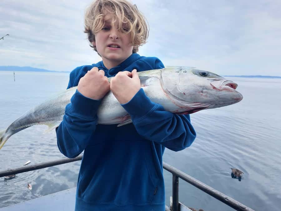 Auckland: Twilight Fishing Charter 5pm - 9:30pm - How good is the $40 price?
