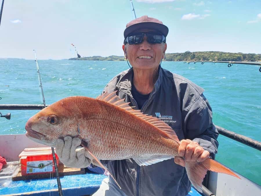 Auckland: Twilight Fishing Charter 5pm - 9:30pm - Who will enjoy this evening most?