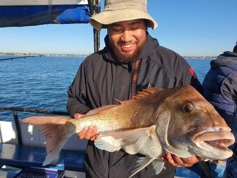 Auckland: Twilight Fishing Charter 5pm - 9:30pm - What happens aboard the Red Boats charter
