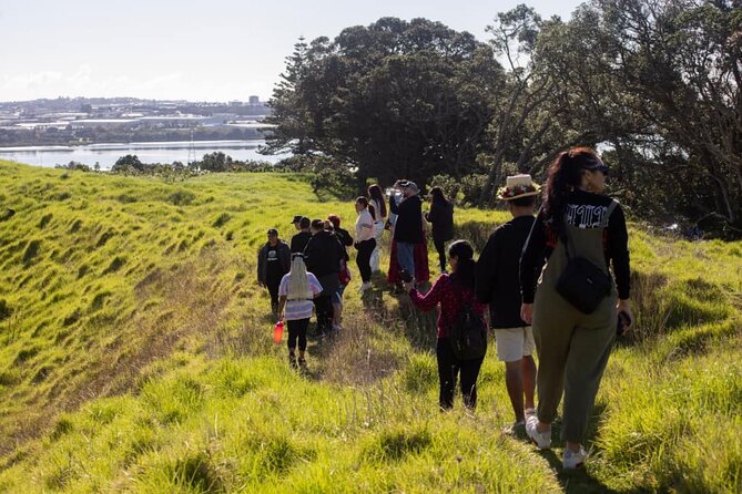 Auckland Urban Māori Experience with Transportation - Te Pane o Mataoho and the Auckland view