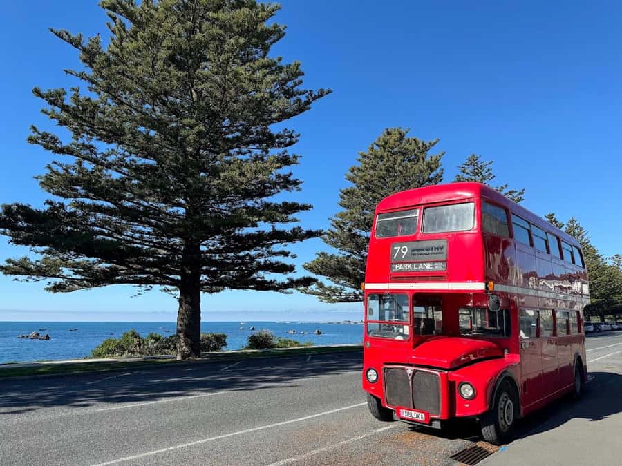 Auckland: Vintage Double-Decker Bus Sightseeing Tour - Mission Bay and the eastern waterfront