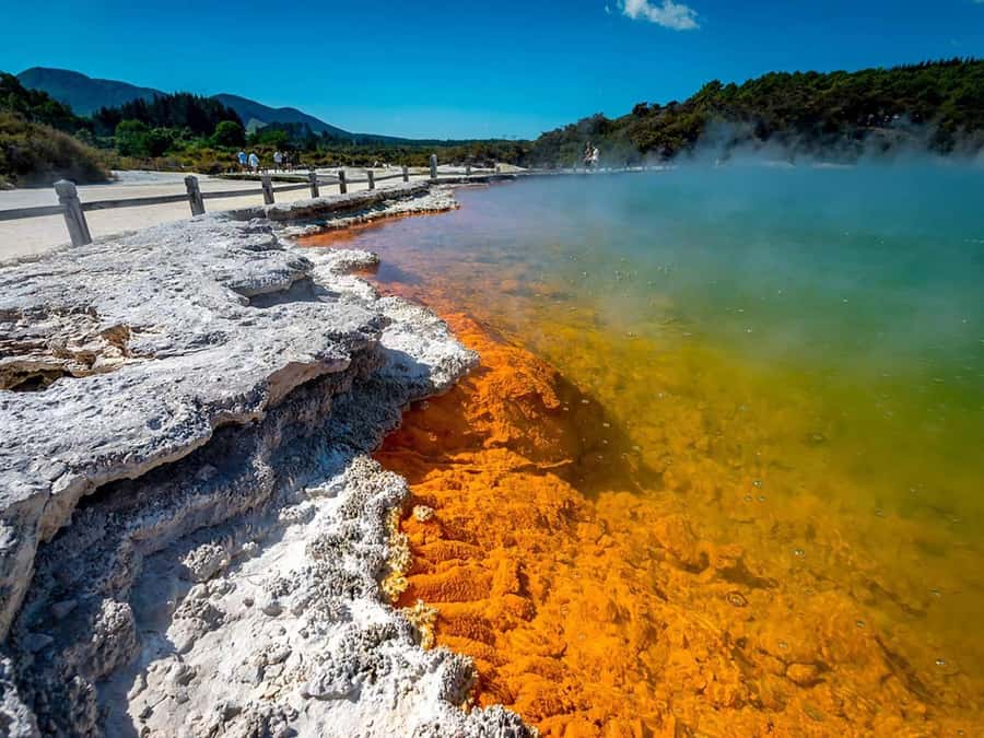 Auckland: Wai-O-Tapu, Maori Haka & Hot Springs Rotorua Tour - Why this Auckland to Rotorua day trip works