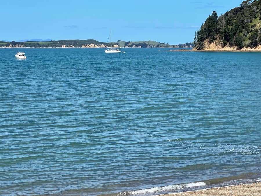 Auckland: Waiheke Island Luxury Experience Private Tour - A private day with guide Janis