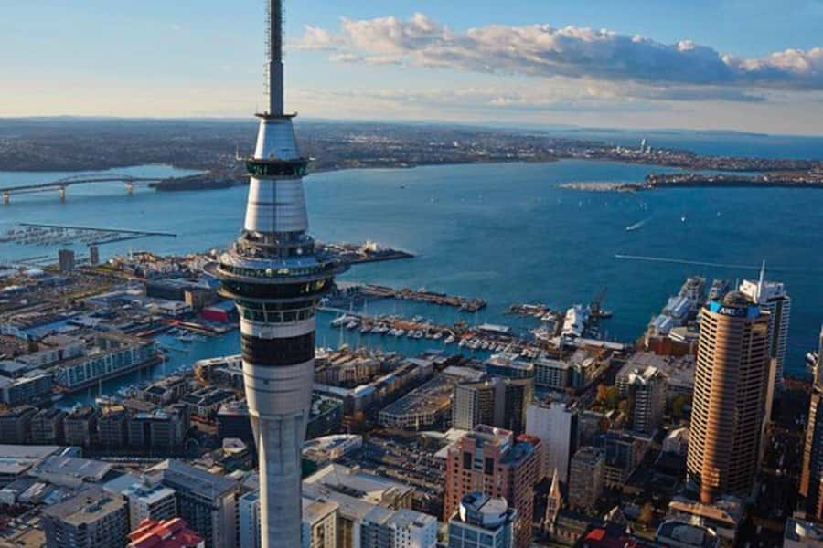 Auckland: Waiheke Island Wine and Food Tasting with Flights - Why the flight changes the whole Waiheke experience