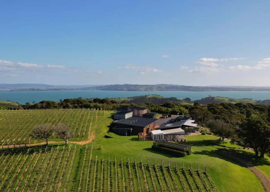 Auckland: Waiheke Island Wine and Food Tasting with Flights - Arriving at Batch Winery on Waiheke