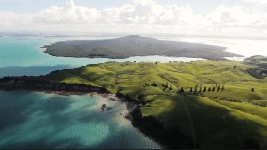 Auckland: Waiheke Island Wine and Food Tasting with Flights - How much value is in the $388 price