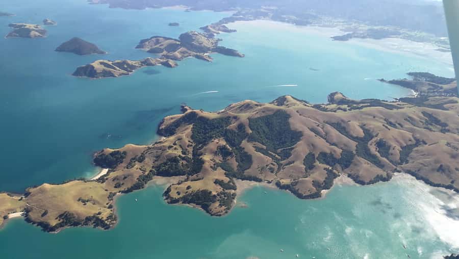 Auckland: Waiheke Island Wine and Food Tasting with Flights - Practical booking advice before you commit