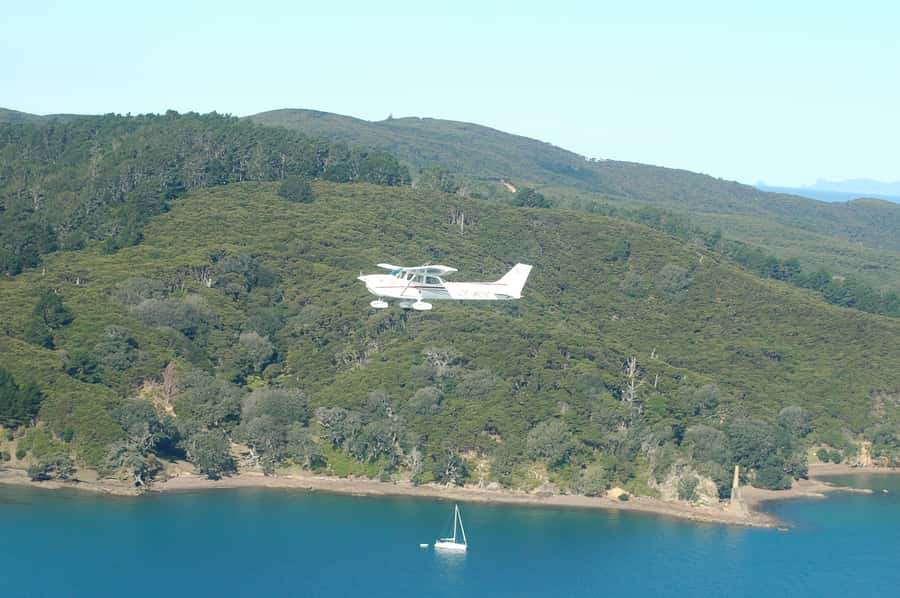 Auckland: Waiheke Island Wine and Food Tasting with Flights - Flying from North Shore or Ardmore to Waiheke
