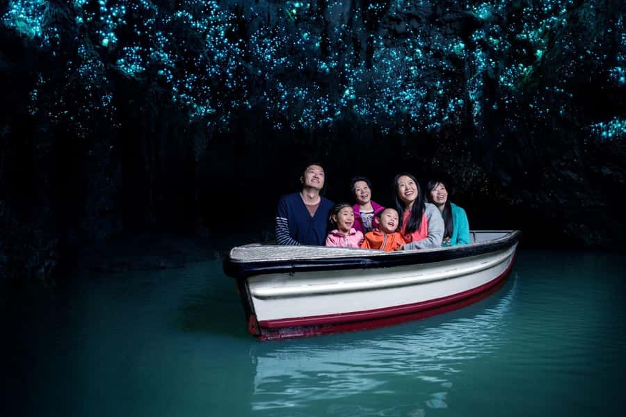 Auckland: Waitomo Caves & Rotorua - Te Puia Small-Group Tour - Why this day works from Auckland