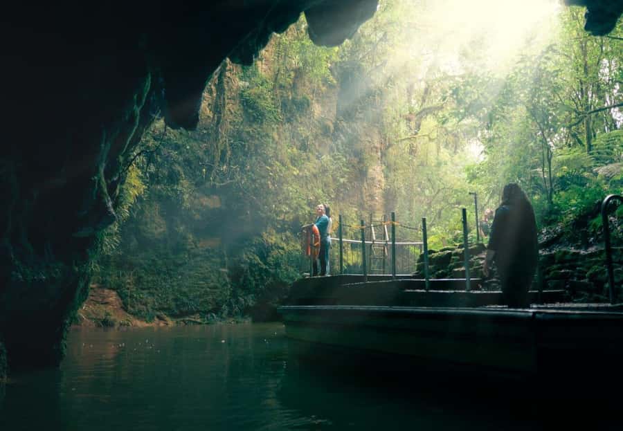 Auckland: Waitomo Caves & Rotorua - Te Puia Small-Group Tour - Waitomo’s limestone caves and glowworm grotto