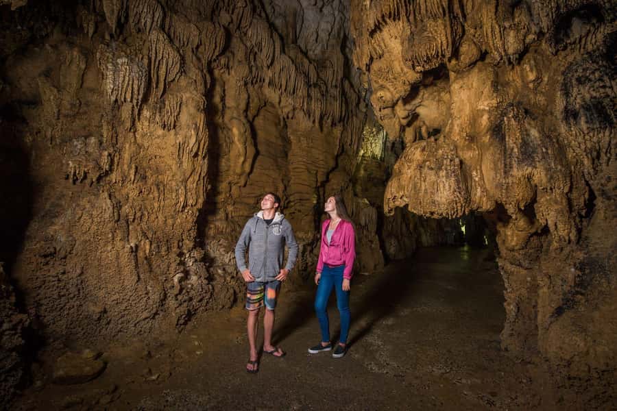 Auckland: Waitomo Caves & Rotorua - Te Puia Small-Group Tour - Rotorua and the geothermal force of Te Puia