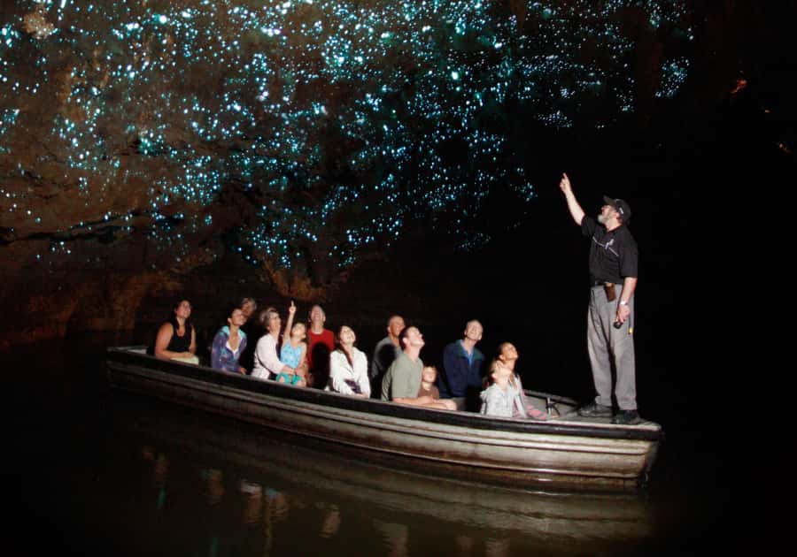 Auckland: Waitomo Caves & Te Puia Rotorua w Picnic Lunch - Meeting kiwi birds at the conservation centre