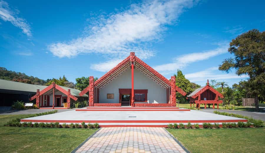 Auckland: Waitomo Caves & Te Puia Rotorua w Picnic Lunch - The return to Auckland