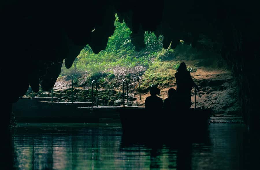 Auckland: Waitomo Caves & Te Puia Rotorua w Picnic Lunch - Is $254 a fair price?
