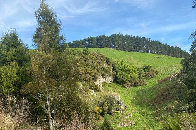 Auckland : Waitomo Spellbound Glow Worm Twin Caves Private Tour - Walking through Mangawhitikau Gorge