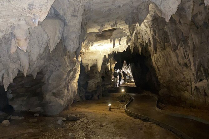 Auckland : Waitomo Spellbound Glow Worm Twin Caves Private Tour - Is $465.43 per person good value?