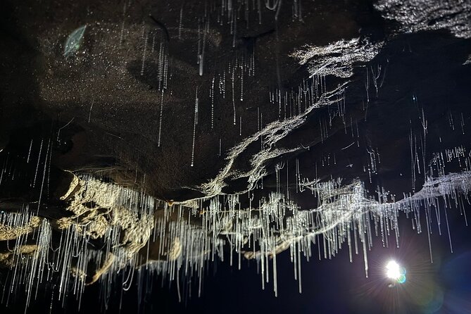 Auckland : Waitomo Spellbound Glow Worm Twin Caves Private Tour - The second cave adds fossils and rougher character