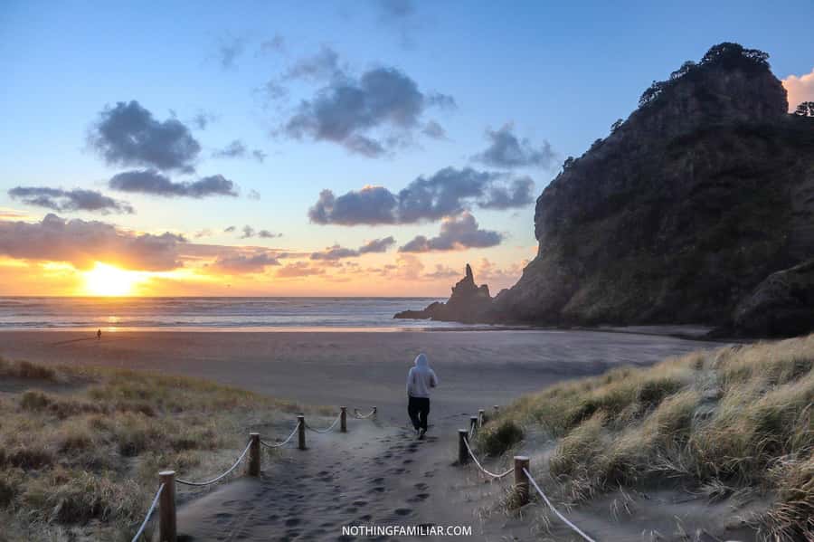 Auckland: West Coast Discovery - Key points to know before booking