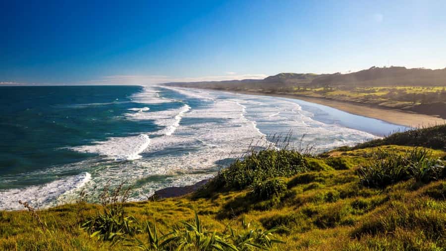 Auckland: West Coast Discovery - Arataki Visitor Centre and the first big views