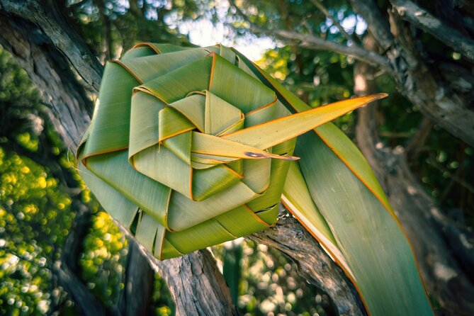 Auckland West Coast Half-Day Private Tour - The guide can make or break the half-day