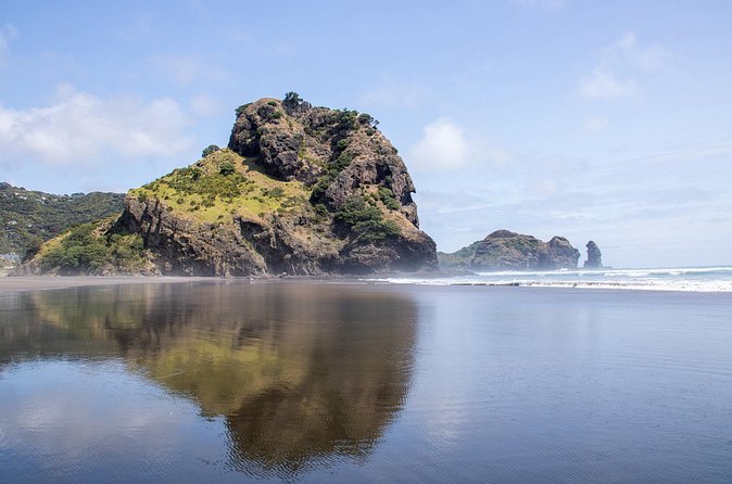 Auckland West Coast Half-Day Private Tour - Is $176.27 per person fair value?