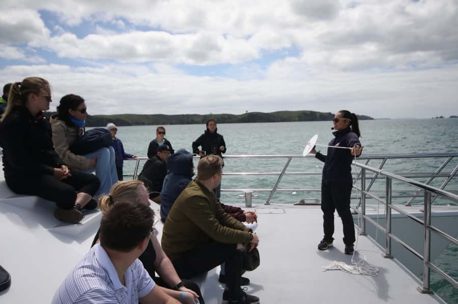 Auckland: Whale and Dolphin Watching Half-Day Eco Cruise - Setting out from Auckland’s Eastern Viaduct