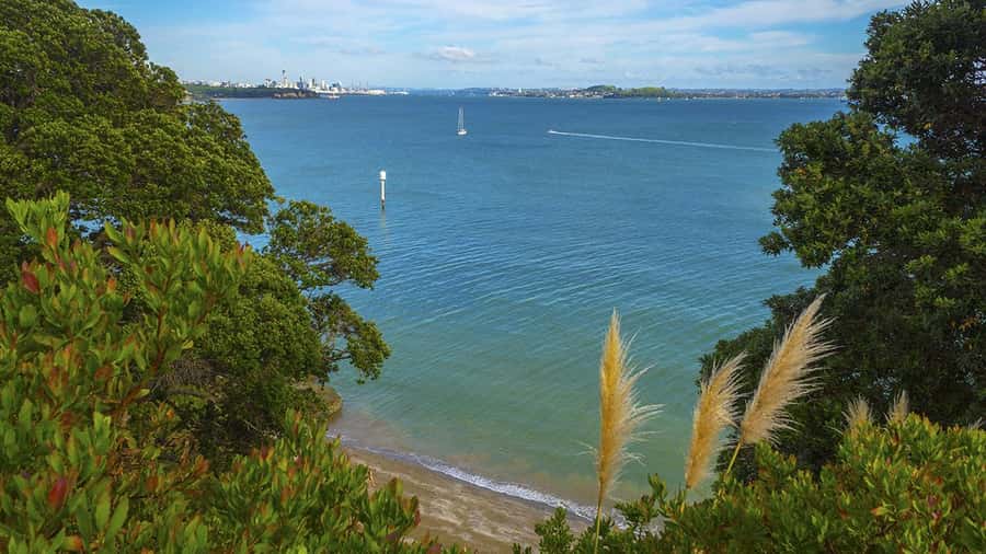 Auckland: Wild West Coast, Black Sand Beaches Tour inc Lunch - Who should book this five-hour outing