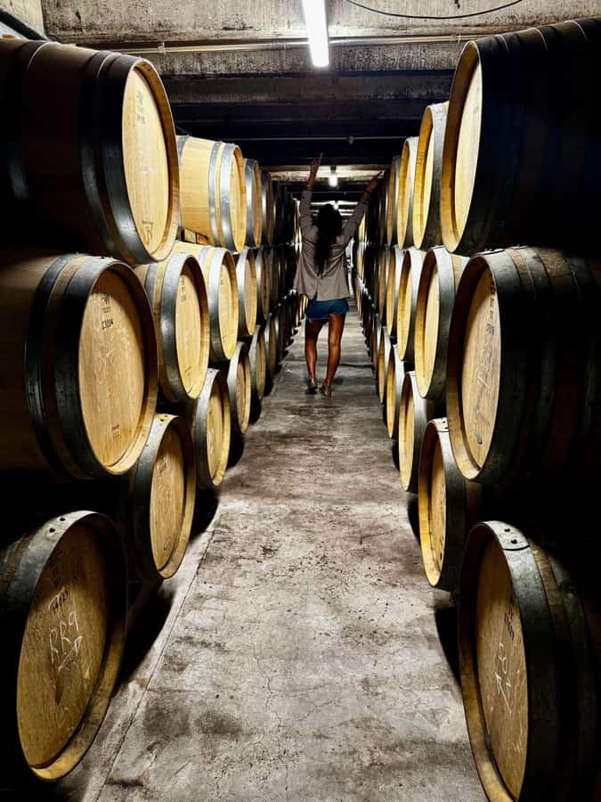 Auckland: Wine region tour with tastings and gourmet lunch - Hunting Lodge combines wine with a proper lunch