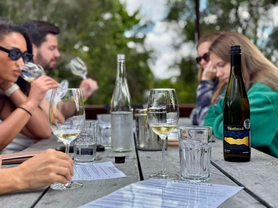 Auckland: Wine region tour with tastings and gourmet lunch - How much value do you get for $322?