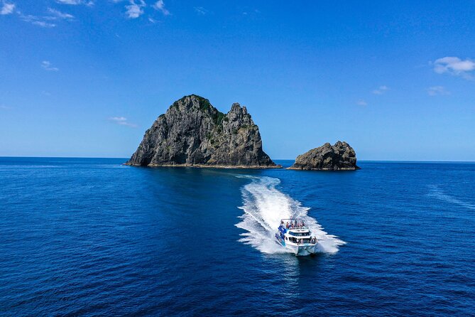 Bay of Islands 2-Day Small Group Tour & Cruise from Auckland - Waipoua Forest and Tāne Mahuta