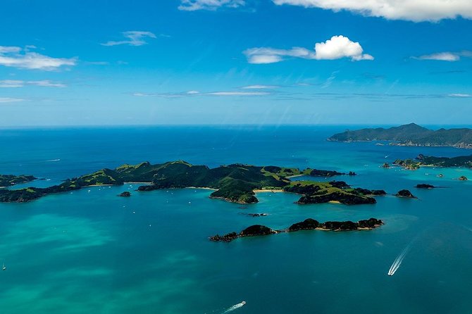 Bay of Islands 2-Day Small Group Tour & Cruise from Auckland - Waitangi Treaty Grounds puts the journey in context